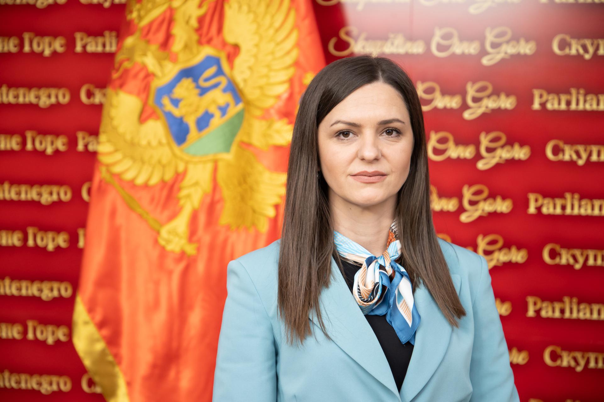 Fingirana kriza u Bijelom Polju: Andrić ukazuje na političke motive Bošnjačke stranke