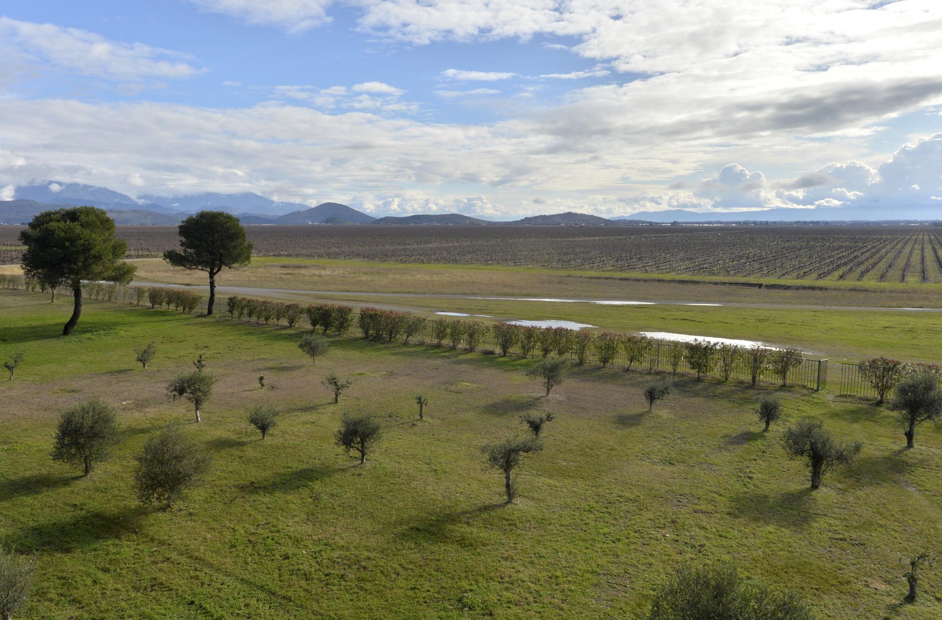 Plantaže završavaju godinu sa milionskim profitom