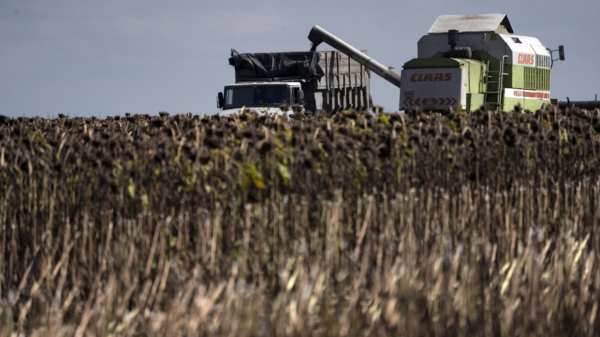 Albanija suočena s rastućim uvozom žitarica: Šta to znači za region?
