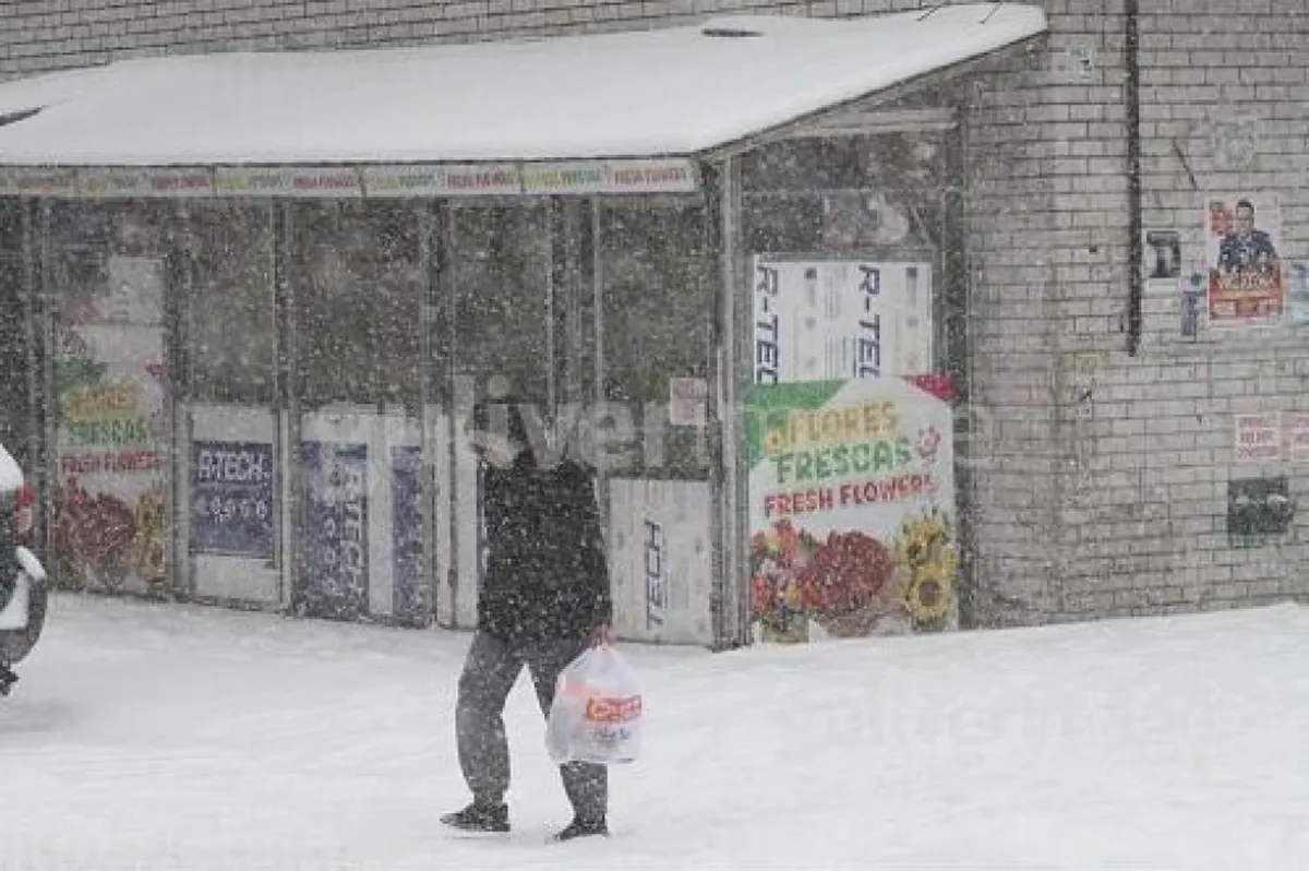 Arktički talas zahvatio Sjedinjene Američke Države – sedmoro mrtvih