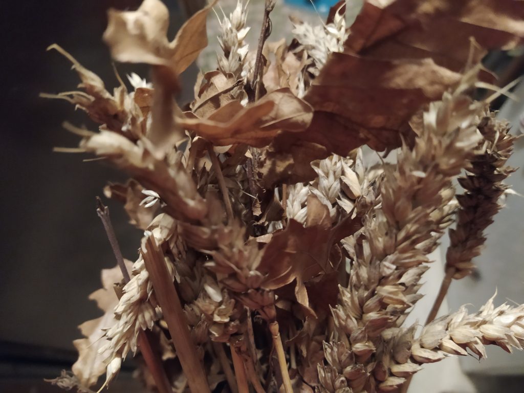 Badnjak 2026: Crnogorska pravoslavna crkva najavila tradicionalno nalaganje