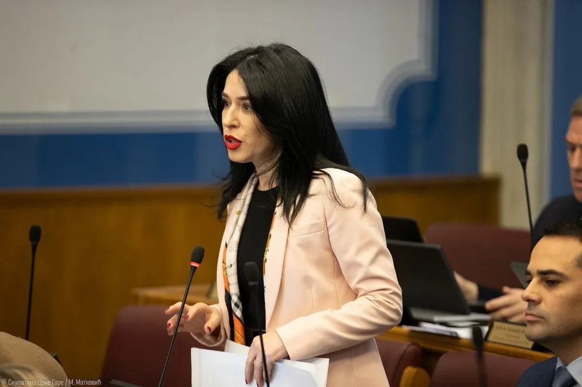 Bojanić-Lalović: Državni arhiv se vodi po sistemu “ne pitaj”