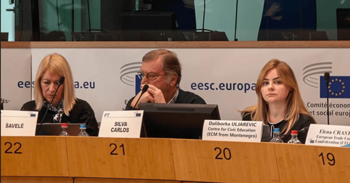 Daliborka Uljarević: Civilno društvo ključno za reforme u Crnoj Gori