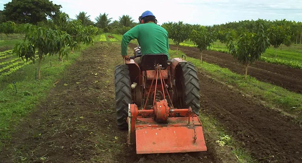 Dobri podsticaji za poljoprivrednike u Srbiji uskoro na računu
