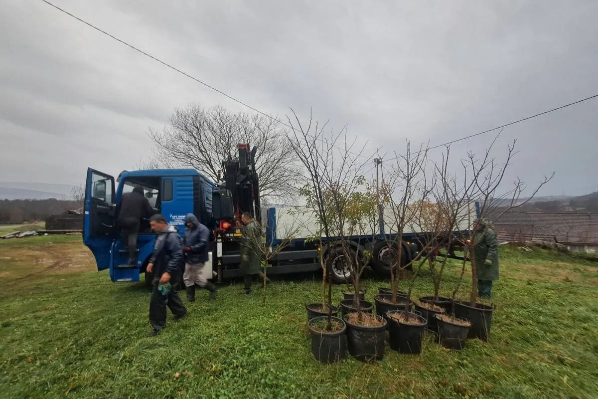 Donacija od 7.000 sadnica crnog bora naselju Piperi