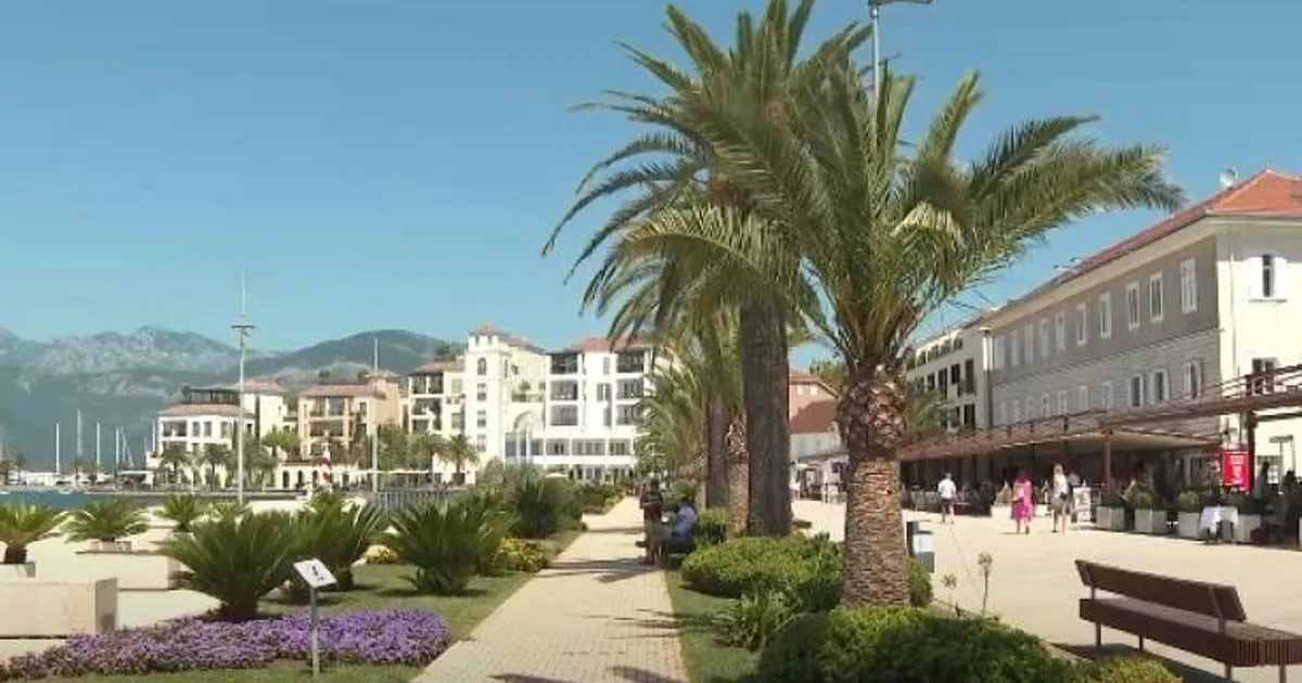 DPS Tivat: Lokalna vlast u krizi, građani taoci loših odnosa