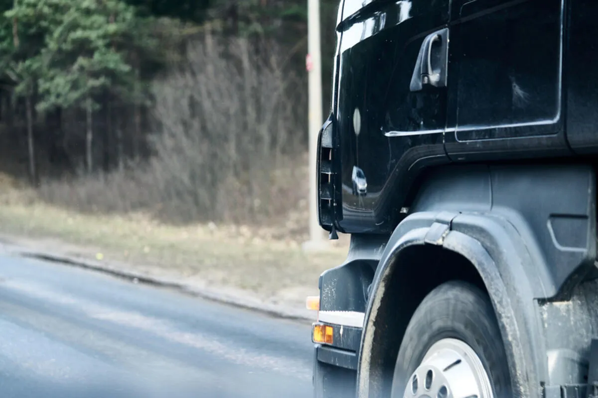 EU predlaže specijalne vize za vozače kamiona iz zemalja van Šengena