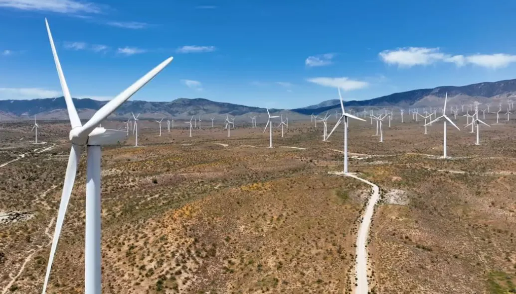 GI Spasimo Brezna: MEGA studija ne smije biti osnova energetske politike Crne Gore