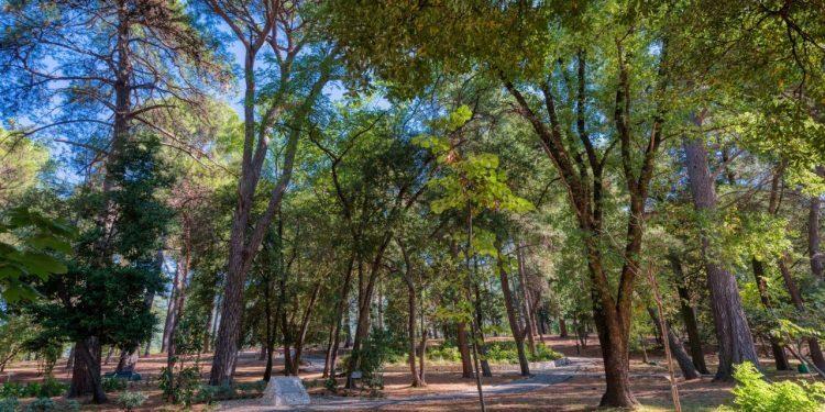 Gradski park u Tivtu zatvoren zbog nevremena