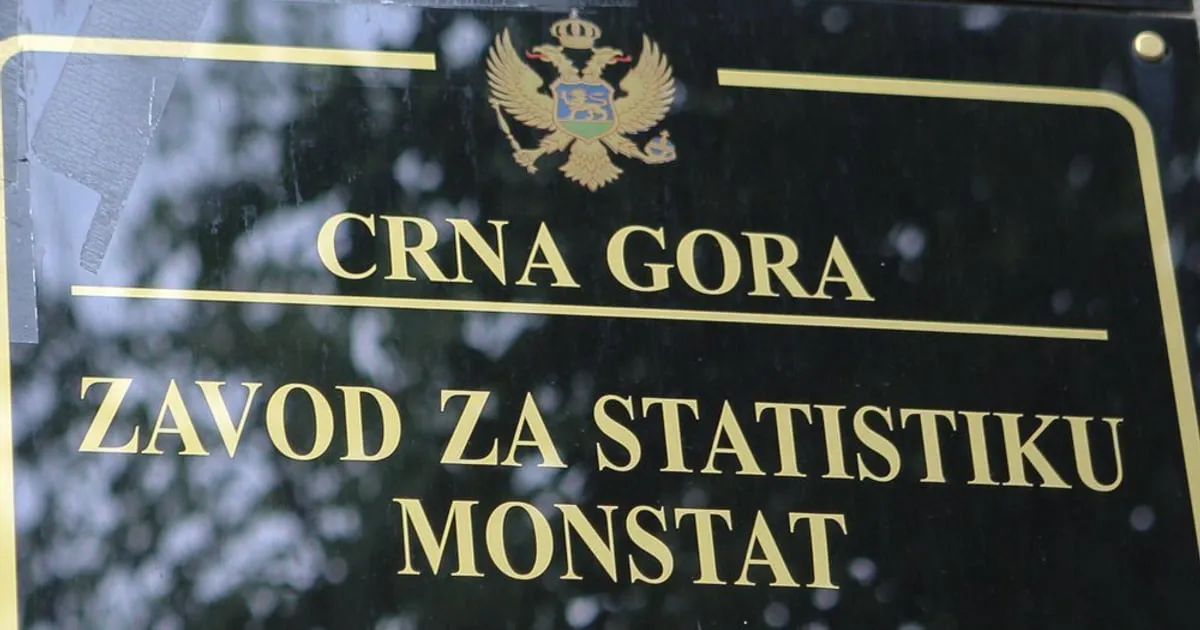 Industrijska proizvodnja u Crnoj Gori bilježi pad od 20,4 odsto