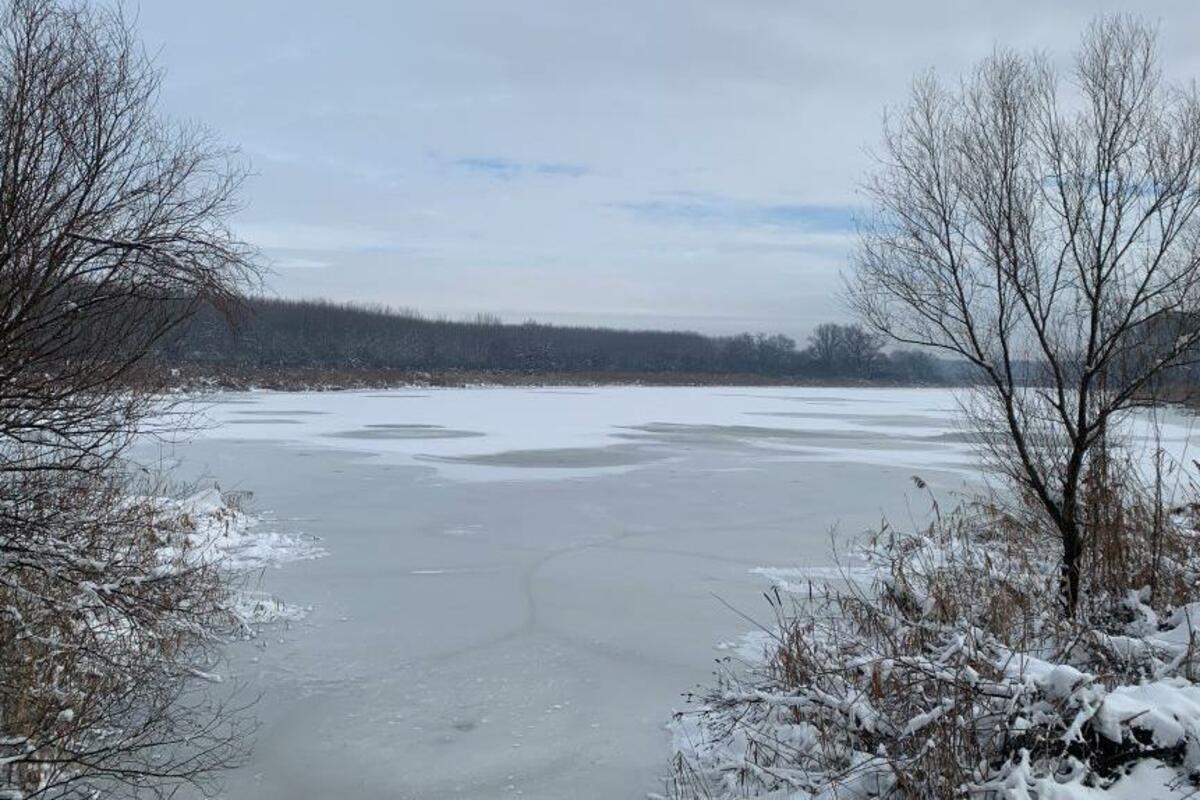 Izgradnja luke kod bare Reve: Ekološke posljedice na granici opstanka
