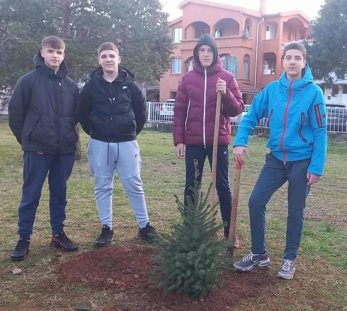 Jelka presadjena u OŠ „Pavle Rovinski“