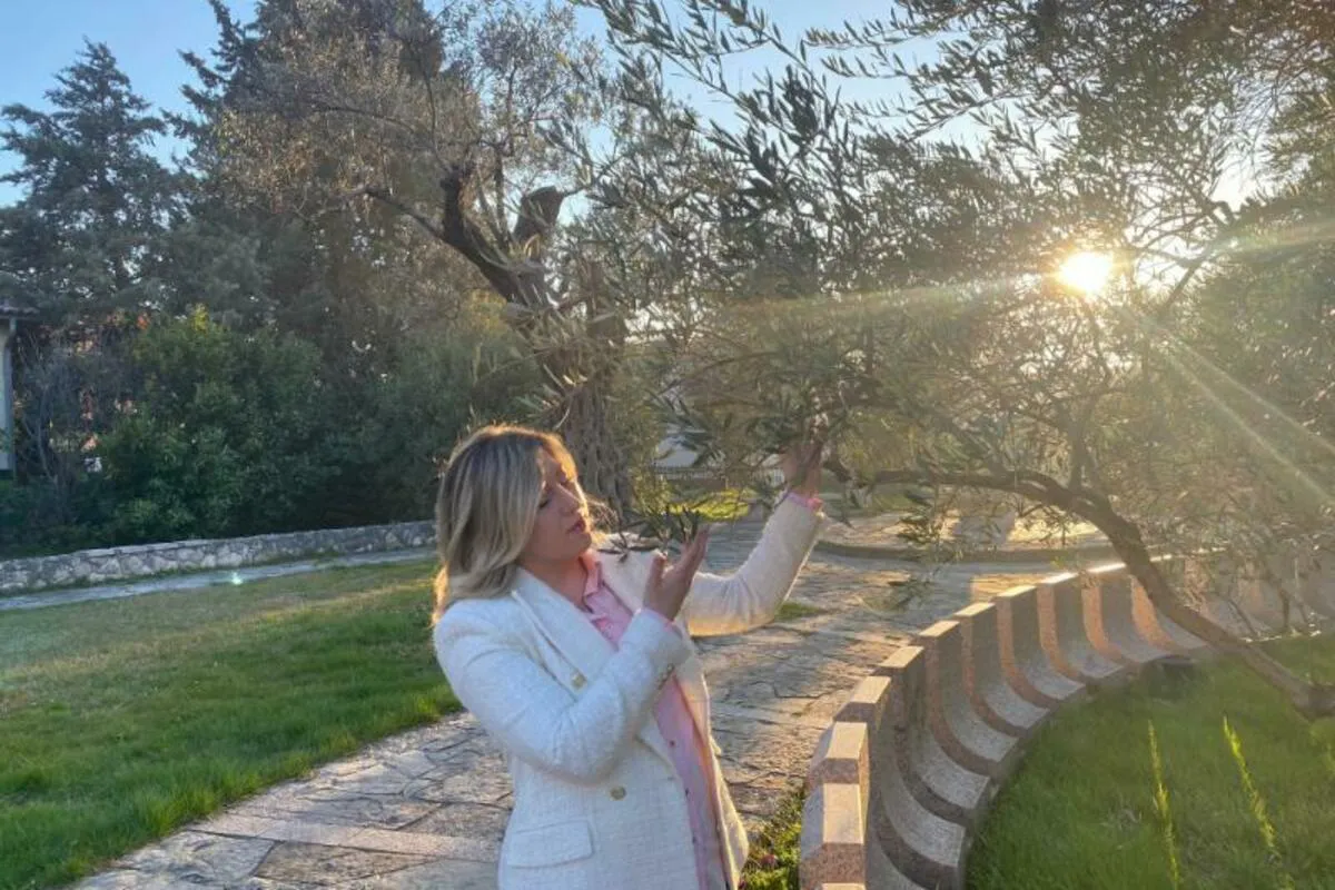 Kuća maslina prerađuje 100 tona maslina i proizvodi 16 tona ulja