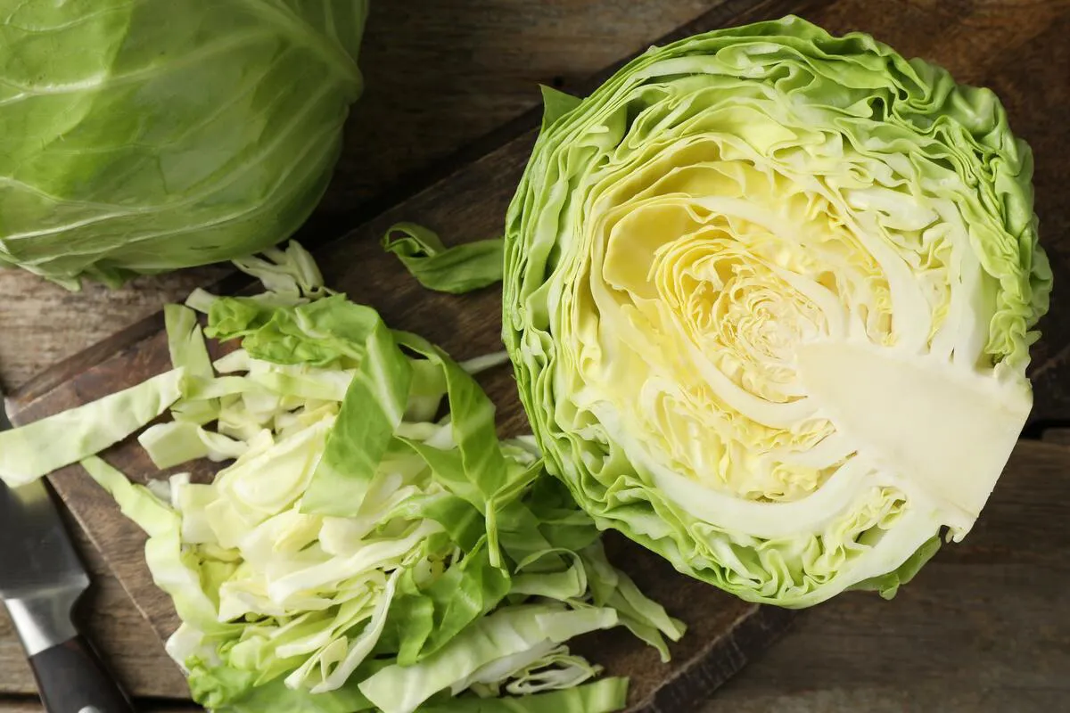 Kupus kao kulinarski hit godine: Trendovi i razlozi popularnosti