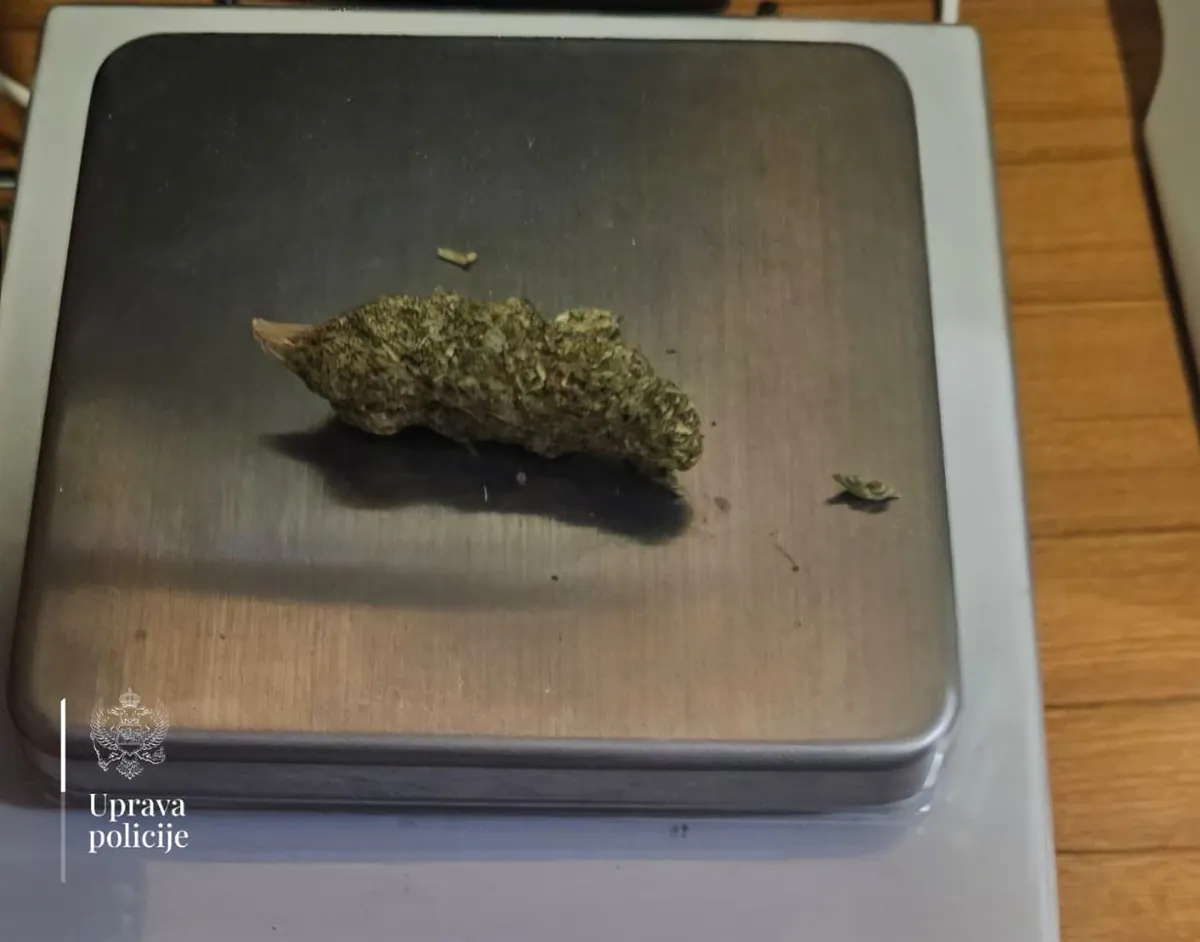 Na Sukobinu pronađena marihuana, podnijeta prekršajna prijava