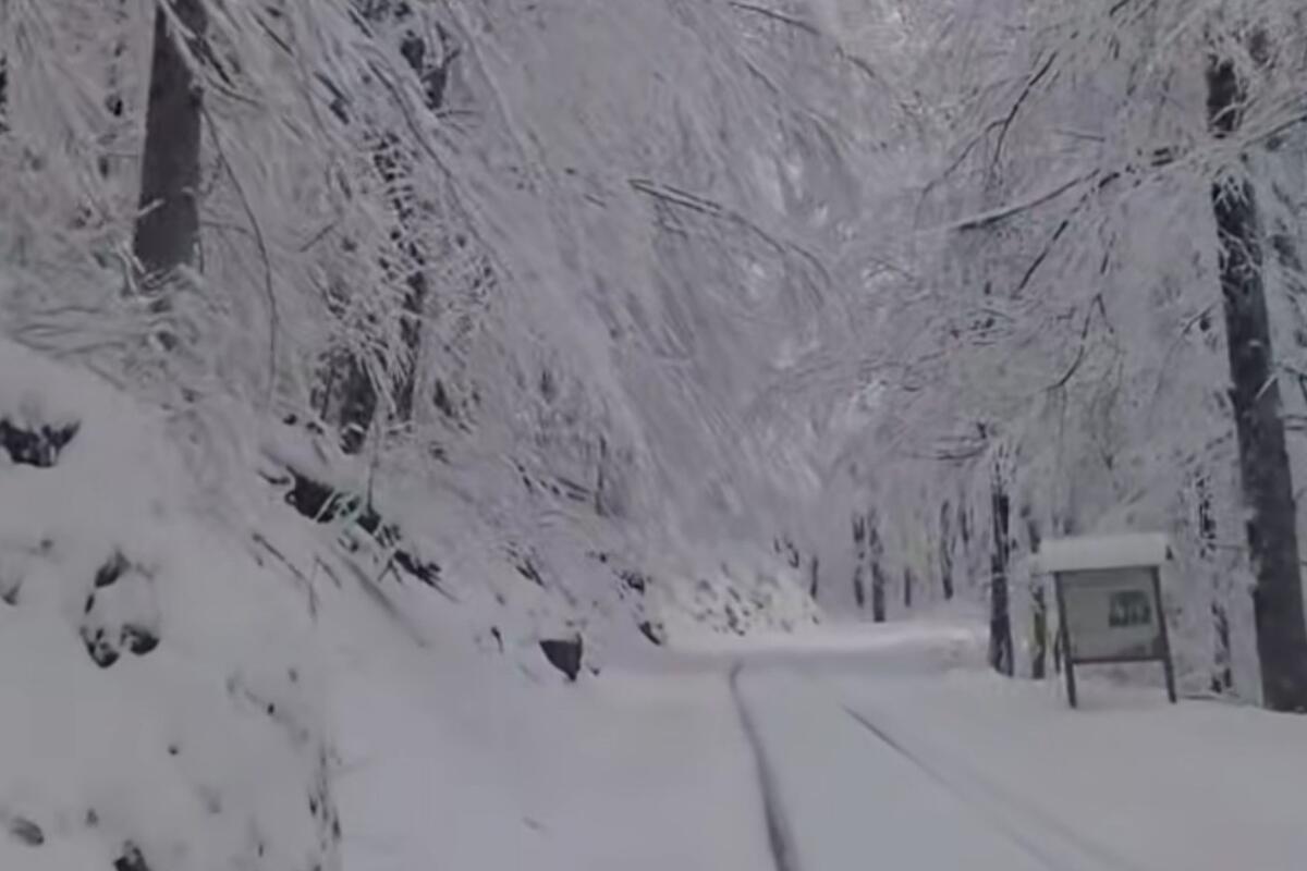 Nacionalni park Biogradska gora zatvoren zbog nevremena