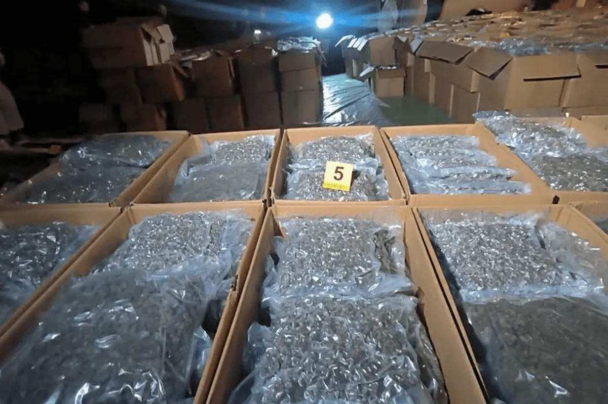 Najveća zapljena marihuane u Srbiji: U selu Konjuh otkriveno pet tona droge