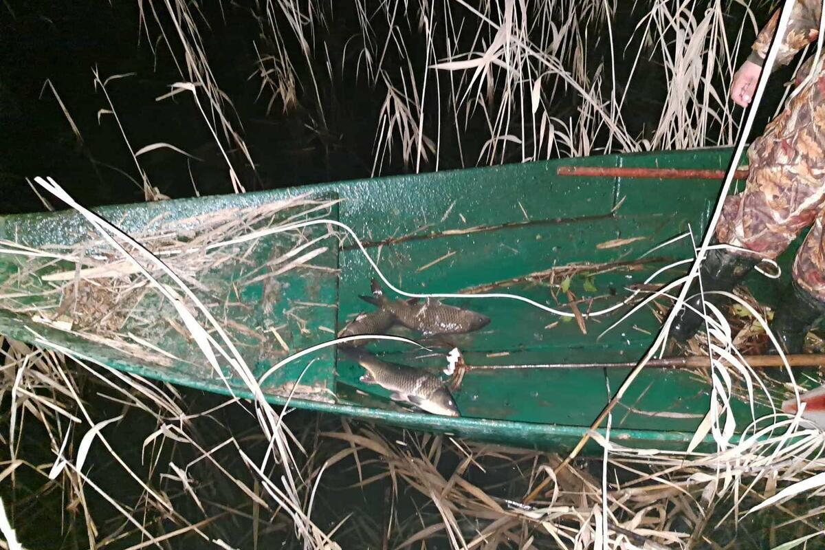 Nelegalni izlov ribe u NP Skadarsko jezero: Četiri osobe uhvaćene u akciji