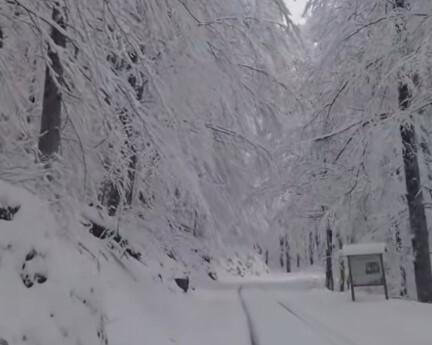 NP Biogradska gora zatvoren za posjetioce zbog nevremena