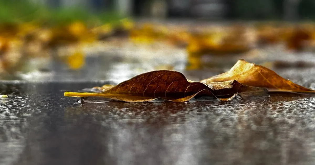 Oblačno i kišovito vrijeme u Crnoj Gori sjutra