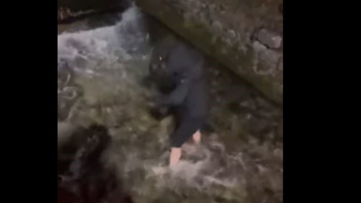 Pljevljak hrabro uskočio u ledenu rijeku kako bi spasio mačku Pljevljak hrabro uskočio u ledenu rijeku kako bi spasio mačku