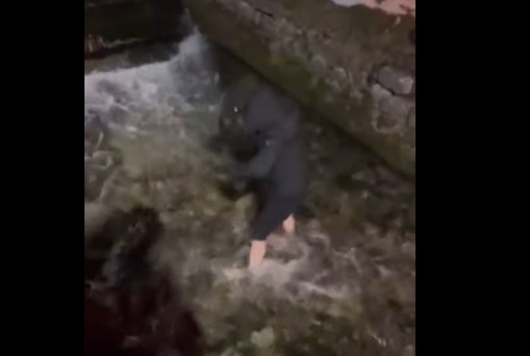 Pljevljak uskočio u hladnu rijeku da bi spasio mačku