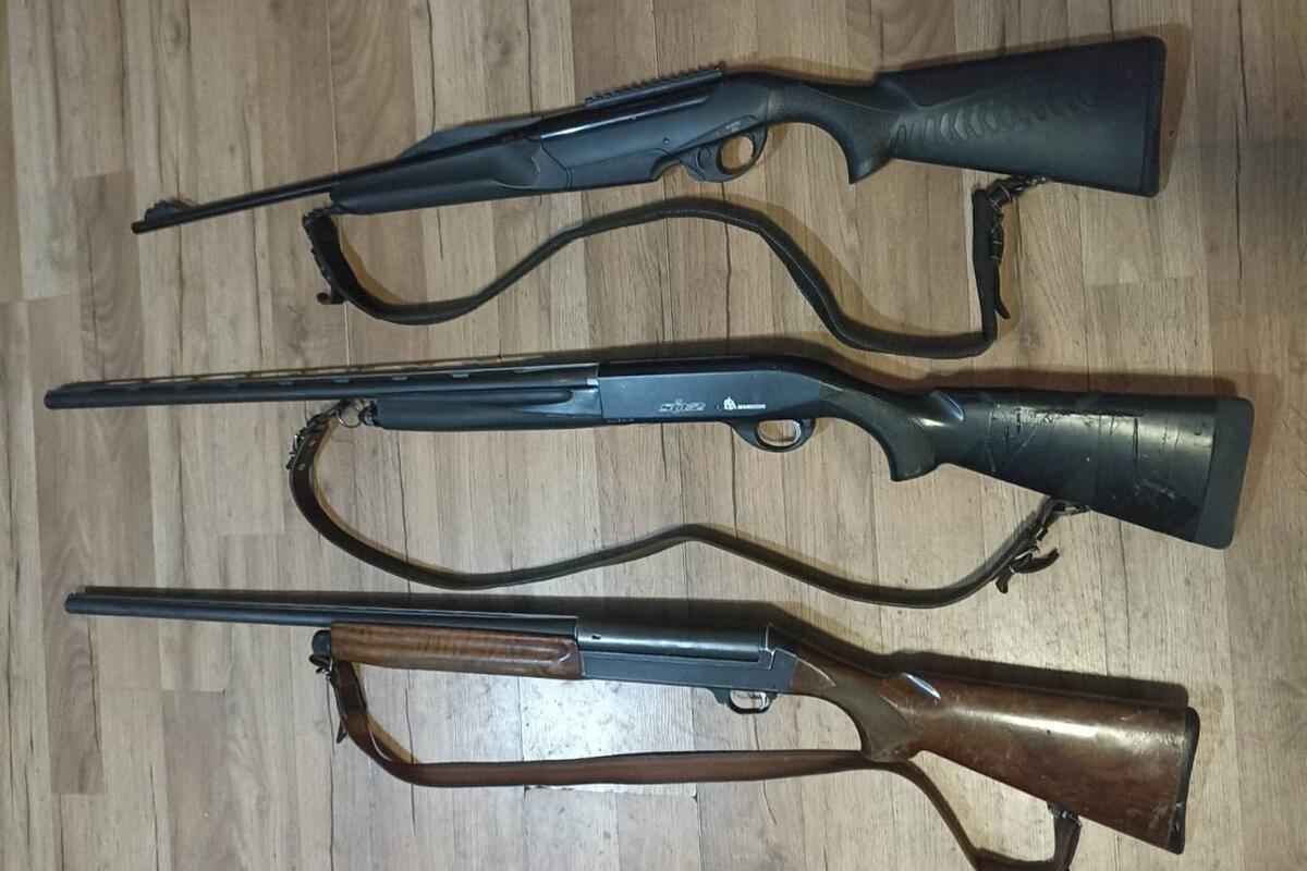 Policija u Pljevljima oduzela oružje i divlju svinju tokom akcije 'Lovac'