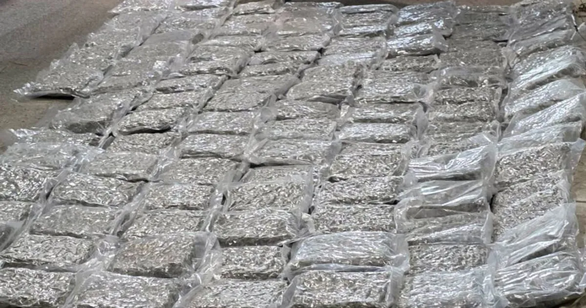 Prilikom ulaska u Srbiju zaplijenjeno 61,5 kilograma marihuane od Crnogorca