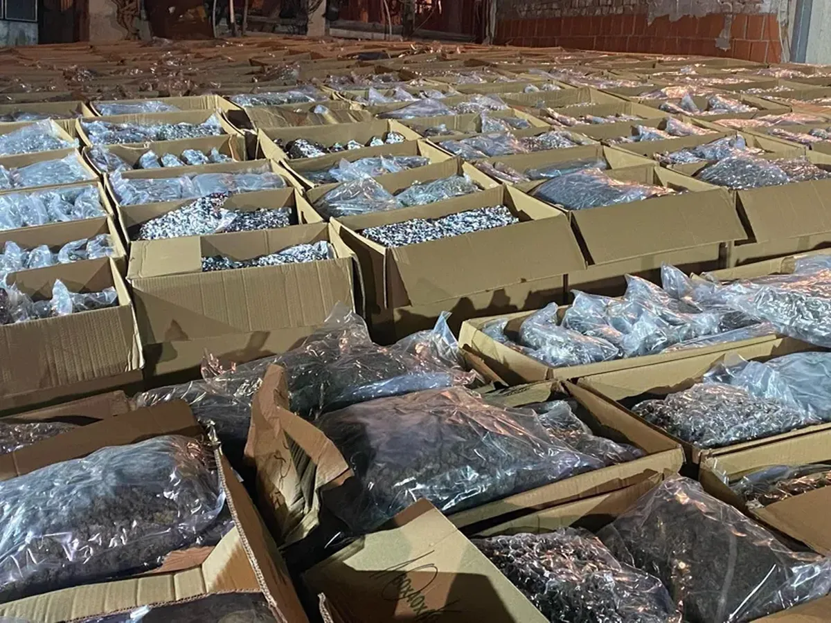 Rekordna zapljena marihuane u selu kod Kruševca