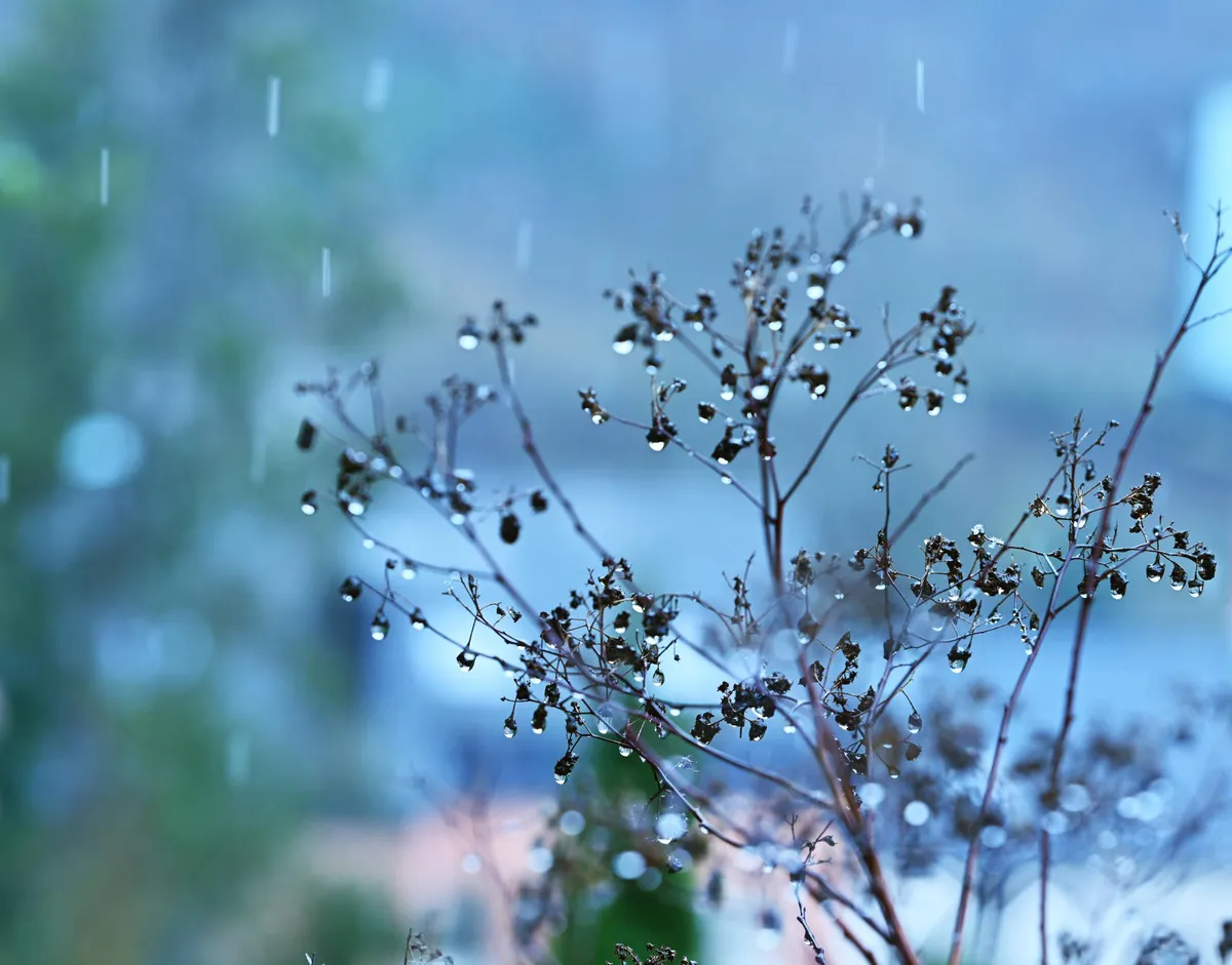 Sjutra oblačno, na sjeveru kiša i snijeg Sjutra oblačno, na sjeveru kiša i snijeg