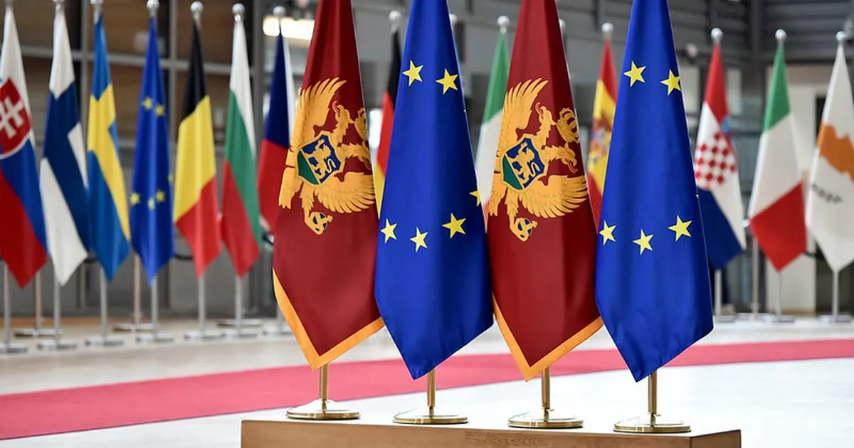 Spajić predvodi delegaciju Crne Gore na konferenciji u Briselu