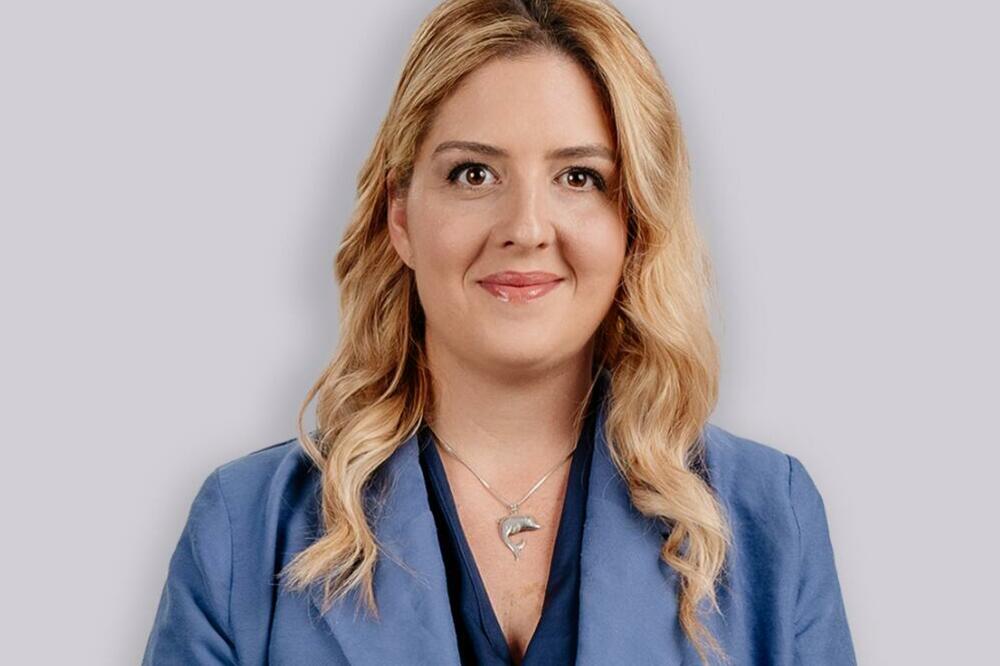 Todorović o Zirjojviću: Njegove kritike su kontradiktorne