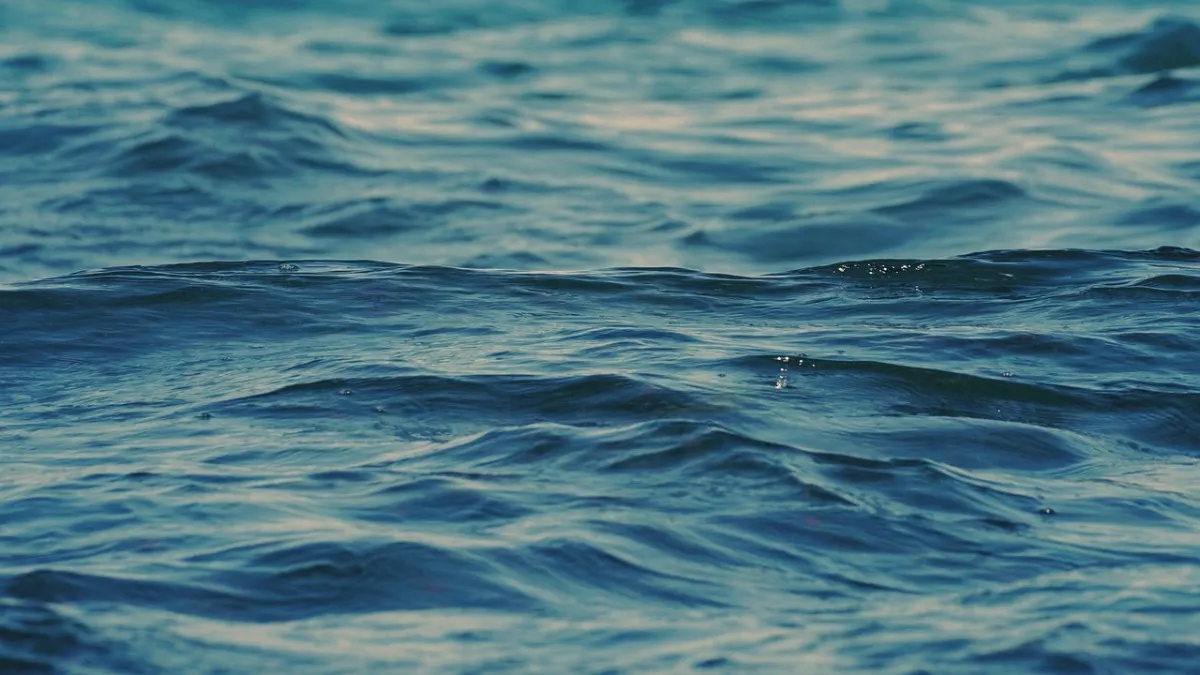 Troje francuskih turista se udavilo u Omanu zbog prevrnutog broda