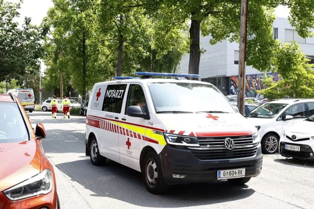 U Austriji pronađeno tijelo dječaka, majka uhapšena zbog ubistva