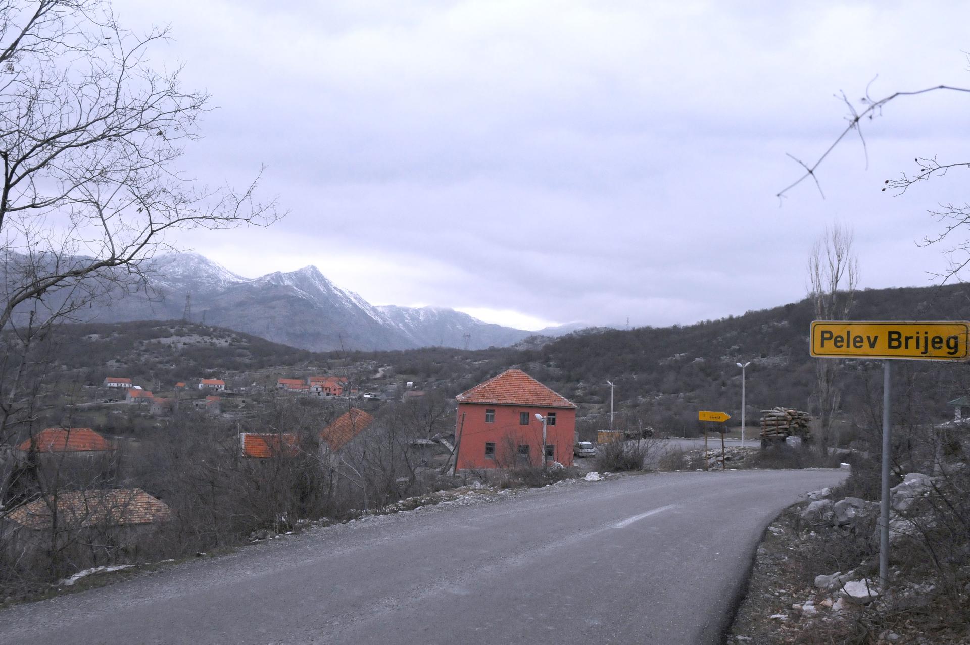 U Podgorici otvaraju stočna groblja za domaće životinje