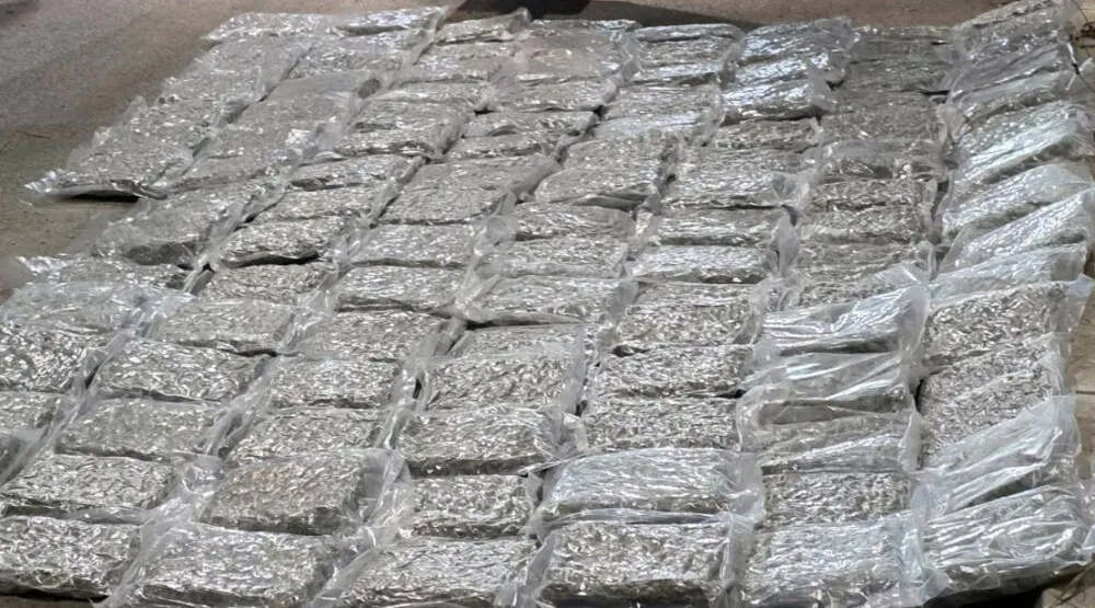 U Srbiji zaplijenjeno 61,5 kilograma marihuane od crnogorskog državljanina