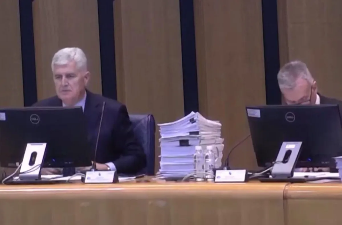 (VIDEO) Lapsus na sjednici Doma naroda BiH: 'Delegat Radovan Karadžić obavijestio nas je...'