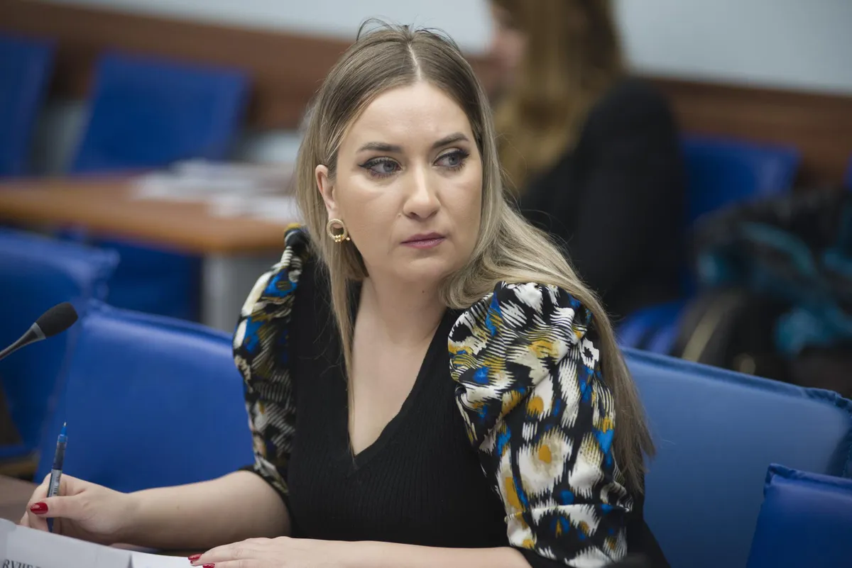 Vučelić: Prvo završiti posao za EU, identitet nije prioritet