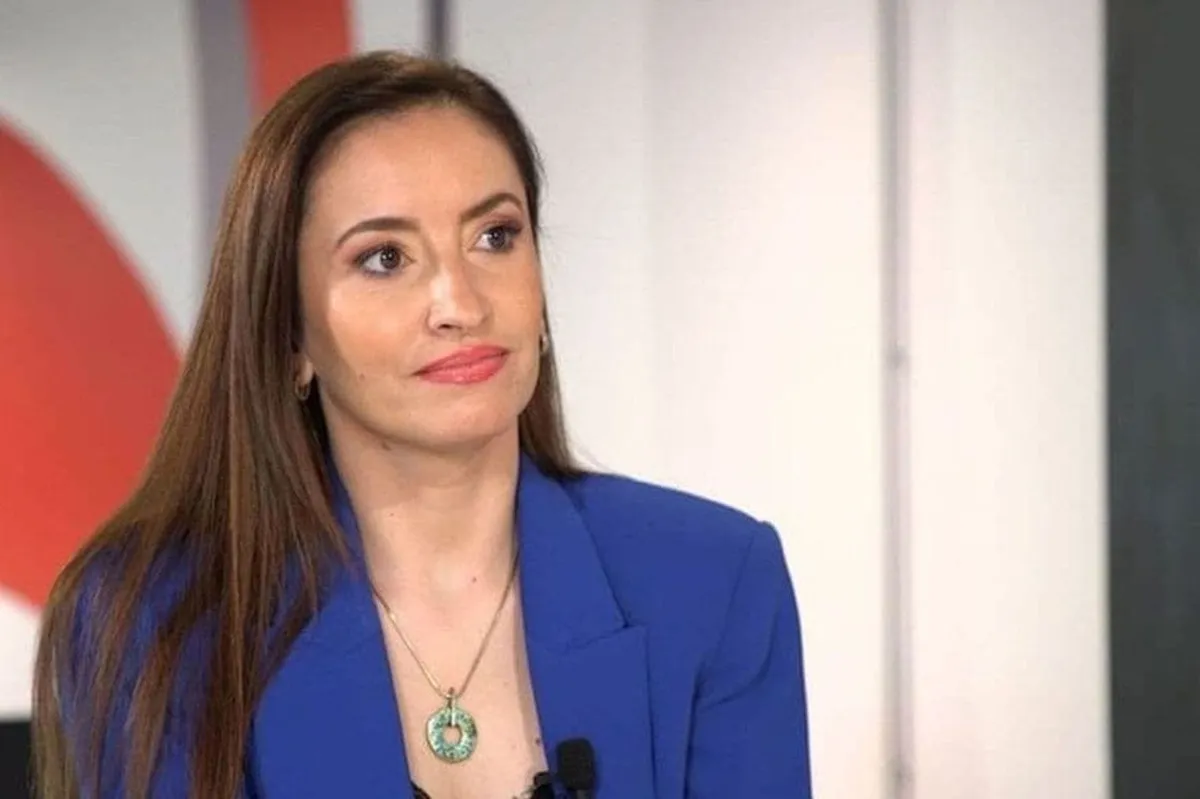 Bajramspahić: Kriminalci vraćaju kapital, država ne prati novac