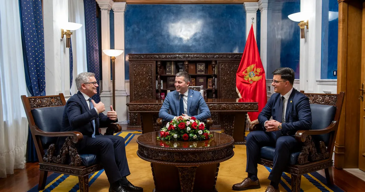 Bečić: Pokušaji hibridnog djelovanja neće zaustaviti reforme