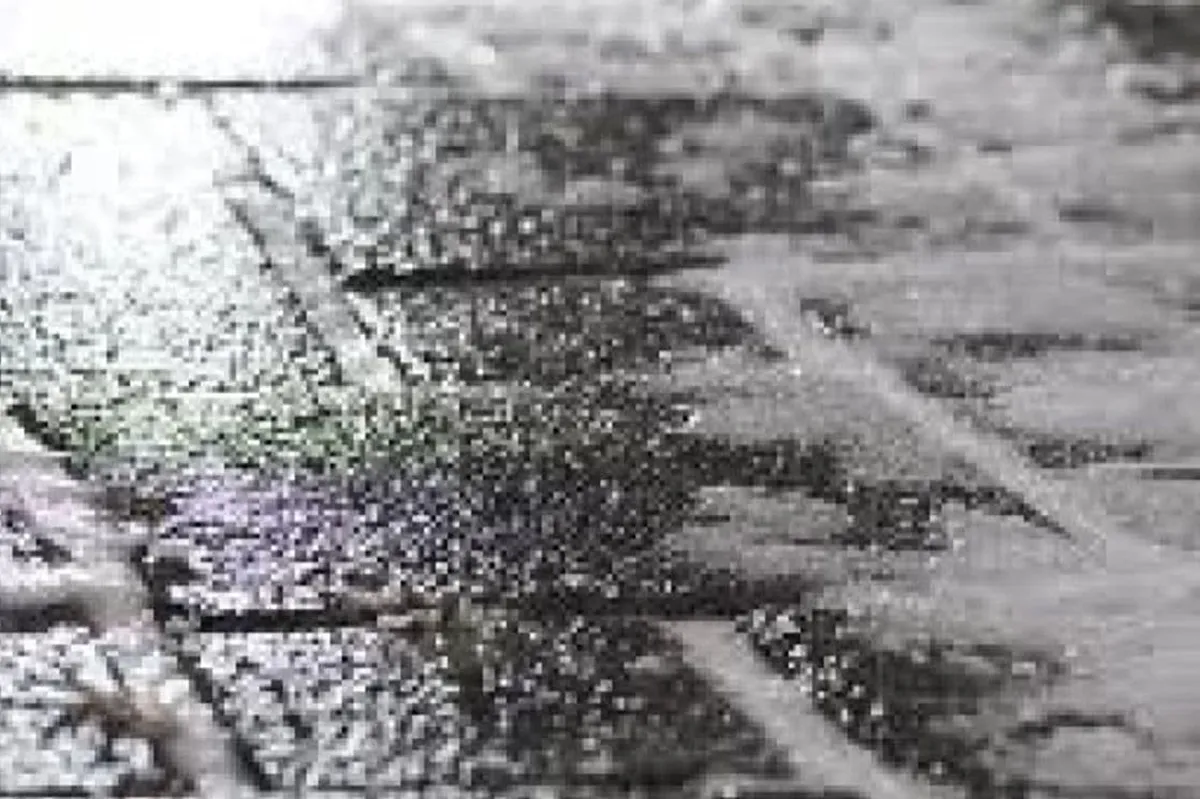 Berlin: Sud zabranio korišćenje soli protiv poledice