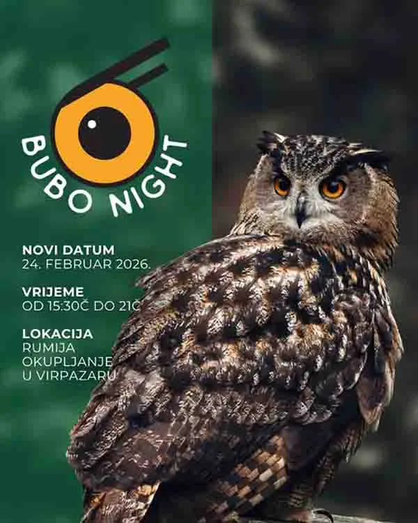BUBO NIGHT: Noć sa sovama na Rumiji 24. februara