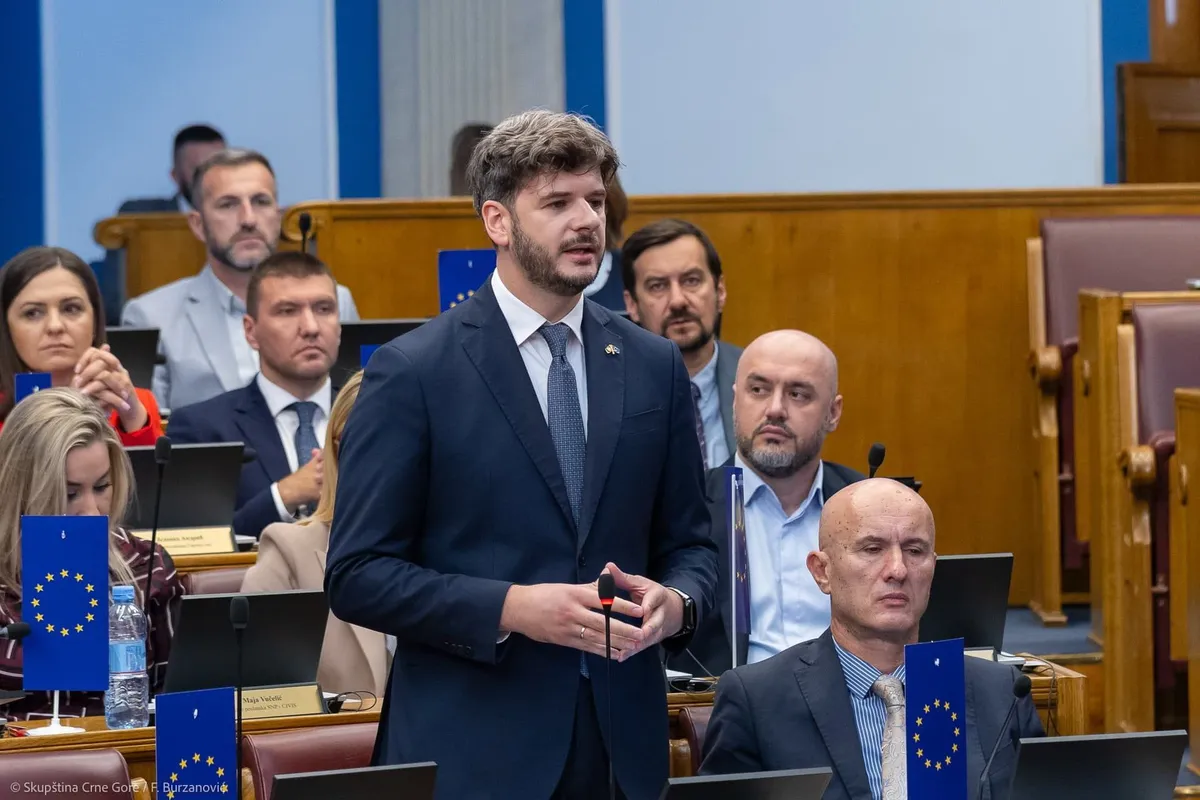 Čarapić: Vlada i Skupština štite radnike više nego sindikati i poslodavci