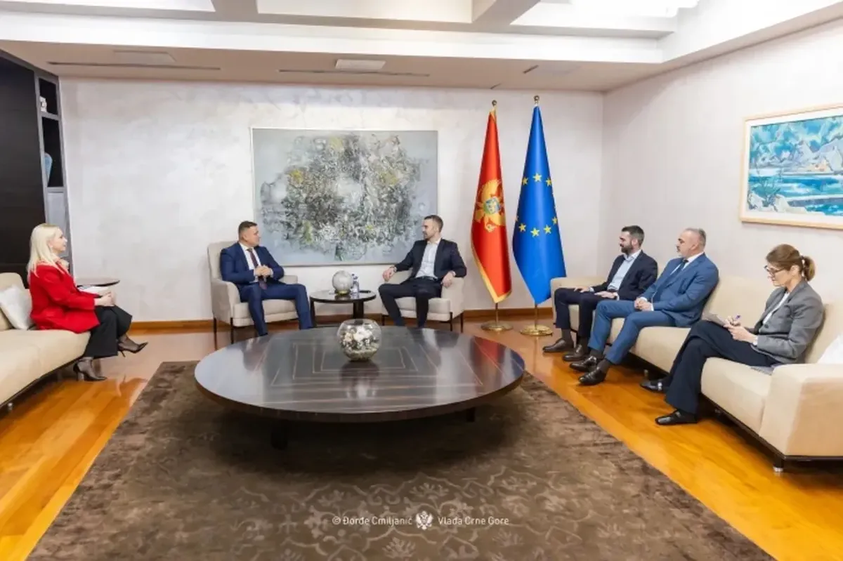 Crna Gora domaćin Evropskog prvenstva u džiu džicu 2027. godine