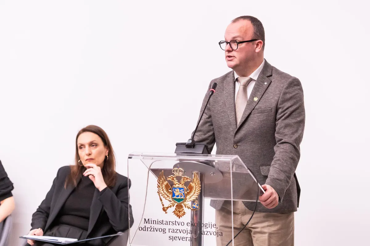 Ćulafić: Usvajanje Strategije niskougljeničnog razvoja početak neophodnog procesa