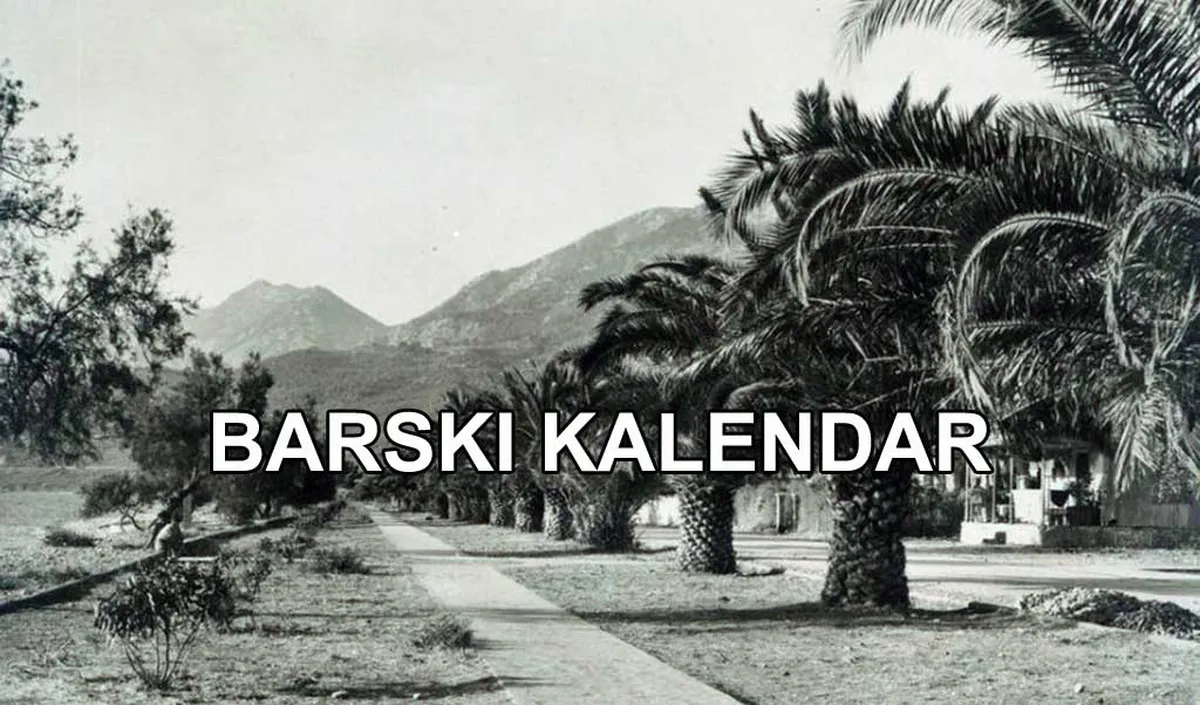 Danas je 15. februar: Istorijski događaji u Crnoj Gori