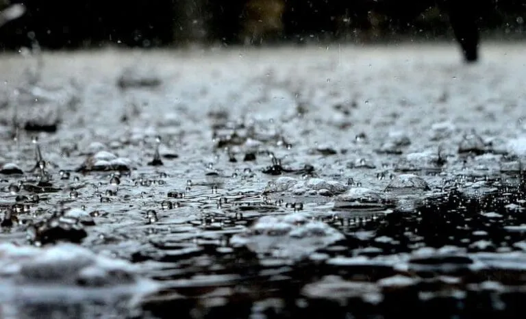 Danas oblačno, očekuju se obilnije padavine u Crnoj Gori