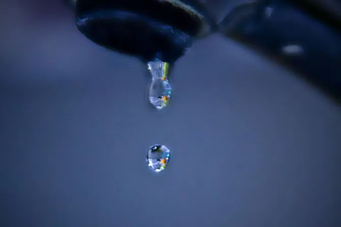 Dio Opatova i Lastve bez vode, TO Tivat poziva organizatore manifestacija