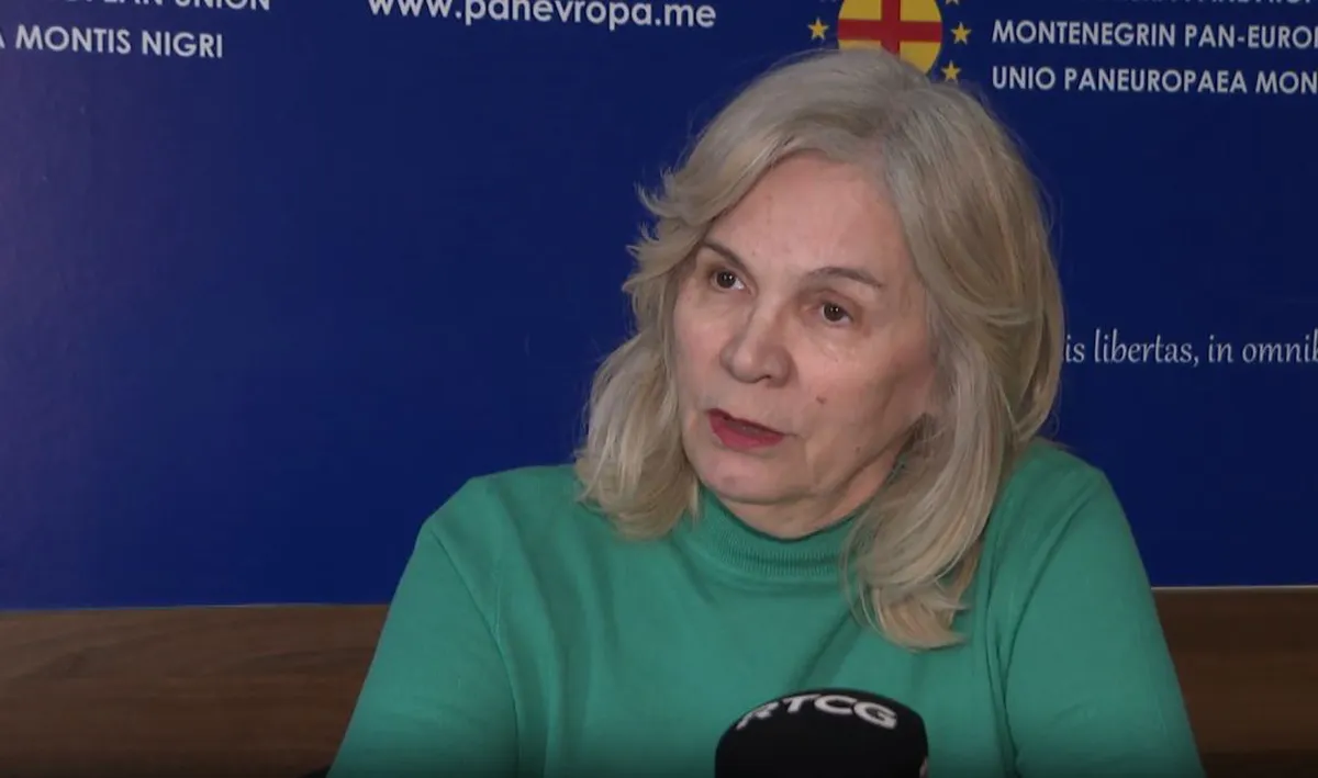 Đurović: Vraćanjem zakona evropska agenda dovedena u pitanje