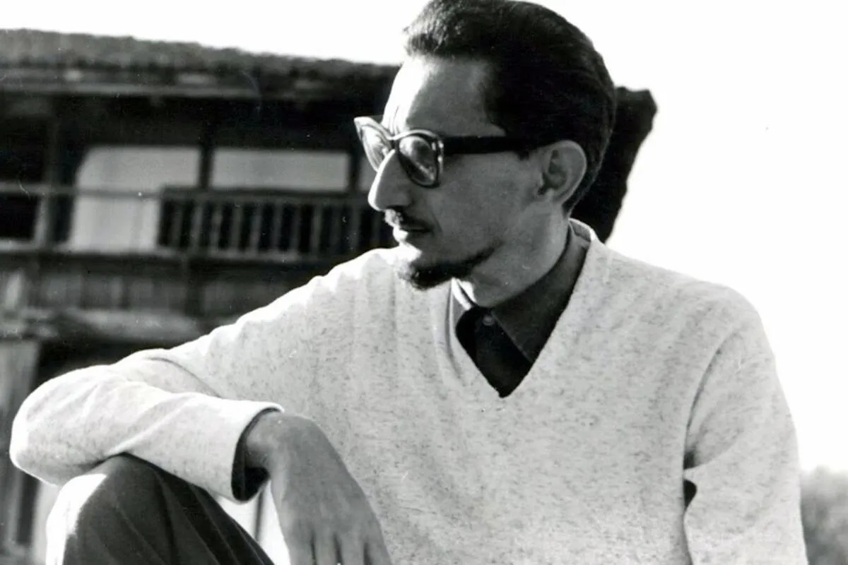 Dnevnici Borislava Pekića: Kritički ton i lična ispovijest